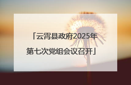 云霄县政府2025年第七次党组会议召开